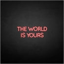 'THE WORLD IS YOURS' neon sign - VINTAGE SIGN