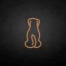 'The dog back' neon sign - VINTAGE SIGN