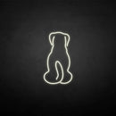 'The dog back' neon sign - VINTAGE SIGN