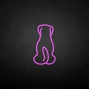 'The dog back' neon sign - VINTAGE SIGN