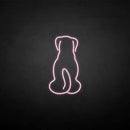'The dog back' neon sign - VINTAGE SIGN