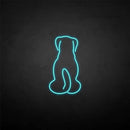 'The dog back' neon sign - VINTAGE SIGN