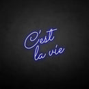 'C'est la vie' neon sign - VINTAGE SIGN