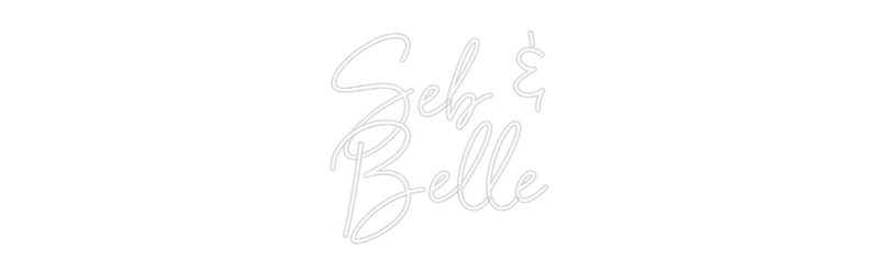 Custom Neon: Seb &
Belle