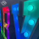 Custom 5FT/4FT/3FT/2FT Wedding Marquee Letter Sign - VINTAGE SIGN