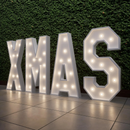 Custom 2FT/3FT/4FT Marquee Letter Lights