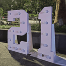 Custom 2FT/3FT/4FT Hard Board Marquee Letter Light - VINTAGE SIGN