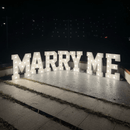 Custom 2FT/3FT/4FT Hard Board Marquee Letter Light - VINTAGE SIGN