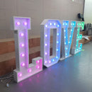 Custom 5FT/4FT/3FT/2FT Marquee Letter Sign - VINTAGE SIGN