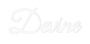 Custom Neon: Devine - VINTAGE SIGN