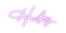 Custom Neon: Hailey - VINTAGE SIGN