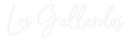 Custom Neon: Los Gallardos - VINTAGE SIGN