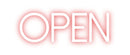 Custom Neon: OPEN - VINTAGE SIGN