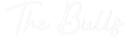 Custom Neon: The Bulls - VINTAGE SIGN