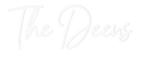 Custom Neon: The Deens - VINTAGE SIGN