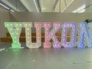 Custom 5FT/4FT/3FT/2FT Marquee Letter Sign
