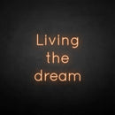 'Living the dream' neon sign - VINTAGE SIGN