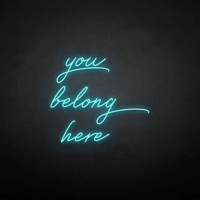 'you belong here' neon sign - VINTAGE SIGN