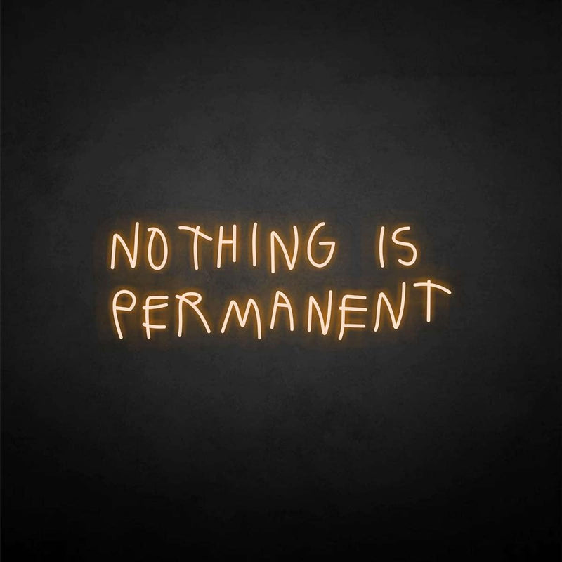 'NOTHING IS PERMANET' neon sign - VINTAGE SIGN