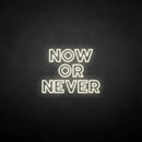 'Now or never' neon sign - VINTAGE SIGN