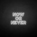 'Now or never' neon sign - VINTAGE SIGN