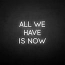 'All we have is now' neon sign - VINTAGE SIGN