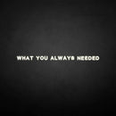 'What you always needed' neon sign - VINTAGE SIGN