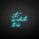 'It is what it is' neon sign - VINTAGE SIGN