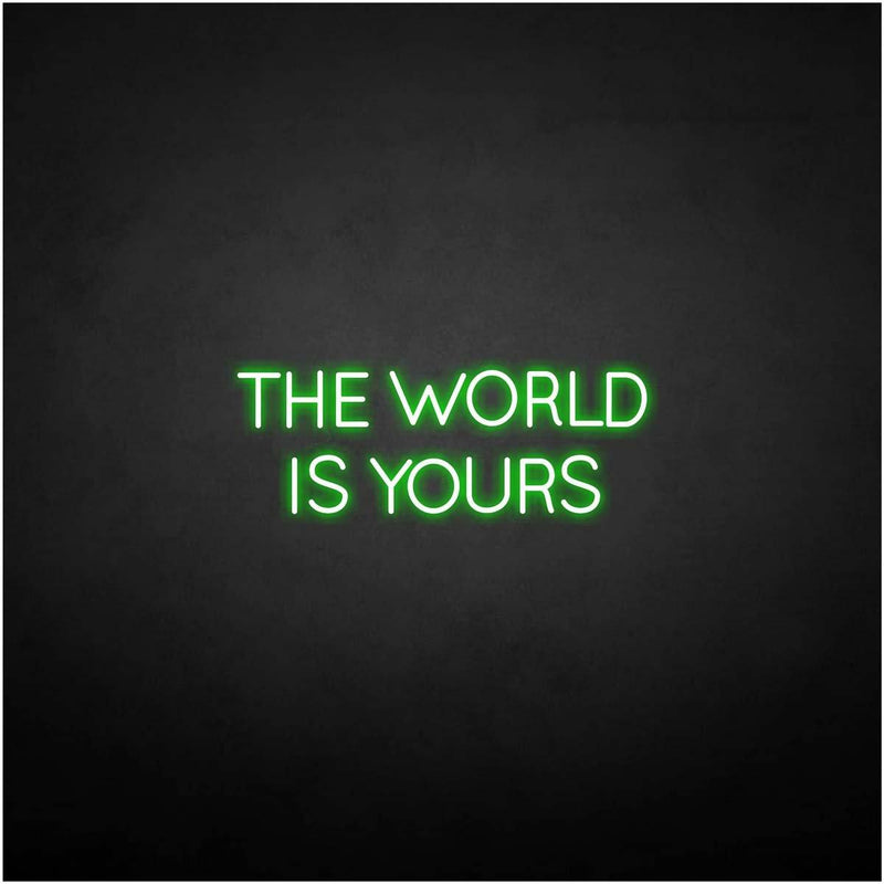 'THE WORLD IS YOURS' neon sign - VINTAGE SIGN