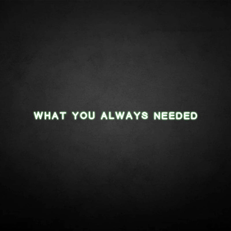 'What you always needed' neon sign - VINTAGE SIGN