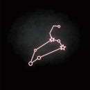 'leo' neon sign - VINTAGE SIGN