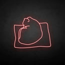 'The cat on the pillow' neon sign - VINTAGE SIGN