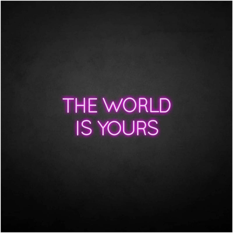 'THE WORLD IS YOURS' neon sign - VINTAGE SIGN