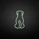 'The dog back' neon sign - VINTAGE SIGN