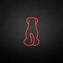 'The dog back' neon sign - VINTAGE SIGN