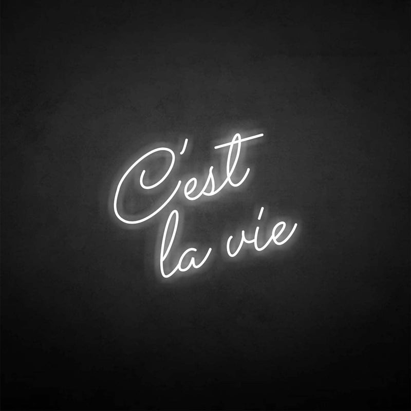 'C'est la vie' neon sign - VINTAGE SIGN