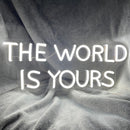 'THE WORLD IS YOURS' neon sign - VINTAGE SIGN
