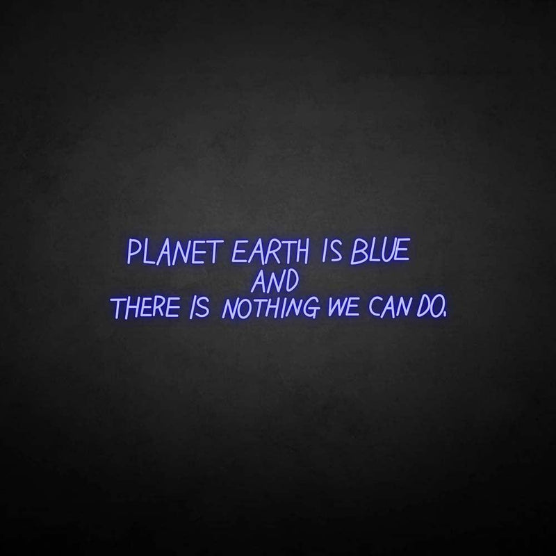 'PLANET EARTH IS BLUE BUT THERE NOTHING WE CAN DO ' neon sign - VINTAGE SIGN