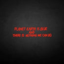 'PLANET EARTH IS BLUE BUT THERE NOTHING WE CAN DO ' neon sign - VINTAGE SIGN