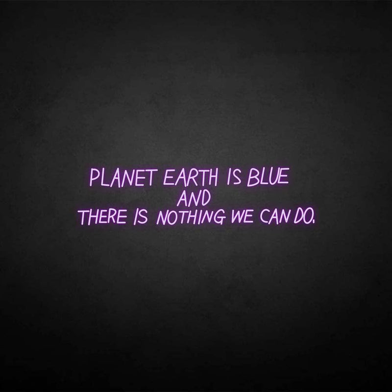 'PLANET EARTH IS BLUE BUT THERE NOTHING WE CAN DO ' neon sign - VINTAGE SIGN