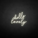 'hello lovely' neon sign - VINTAGE SIGN