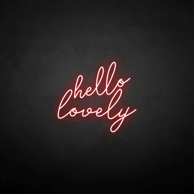 'hello lovely' neon sign - VINTAGE SIGN