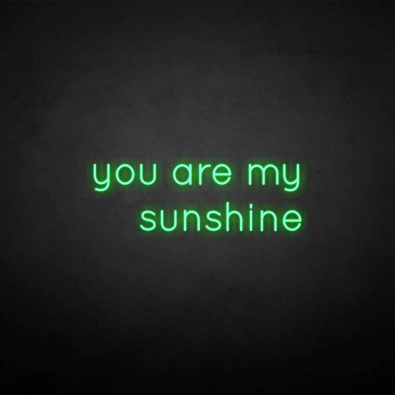 'you are my sunshine' neon sign - VINTAGE SIGN