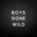 'BOYS GONE WILD' neon sign - VINTAGE SIGN