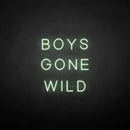 'BOYS GONE WILD' neon sign - VINTAGE SIGN