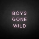 'BOYS GONE WILD' neon sign - VINTAGE SIGN