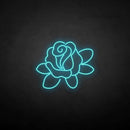 'Roeaceac' neon sign - VINTAGE SIGN