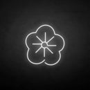 'Sakura' neon sign - VINTAGE SIGN