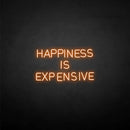 'HAPPINESS IS EXPENSIVE' neon sign - VINTAGE SIGN