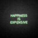 'HAPPINESS IS EXPENSIVE' neon sign - VINTAGE SIGN